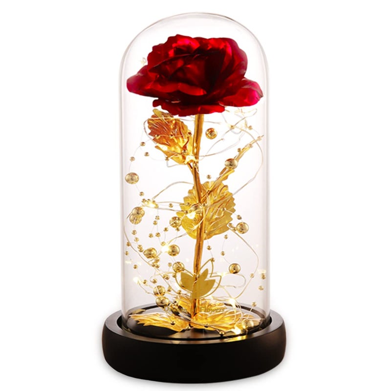 Dream of Flowers Valentines Day Gifts for her, Beauty and The Beast Rose, Birthday Gifts for Women, Glass Dome Glowing Rose, Eternal Rose Blessing Valentine Flowers Gift for Mother Wife, or Girlfriend - Image 1